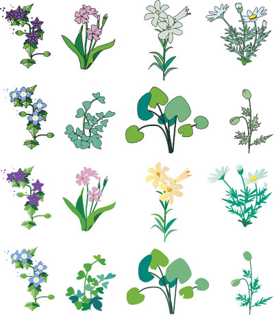 Grass and flower cut collection