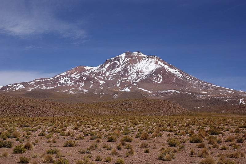 阿塔卡马沙漠和山地景观，在Altiplano，玻利维亚