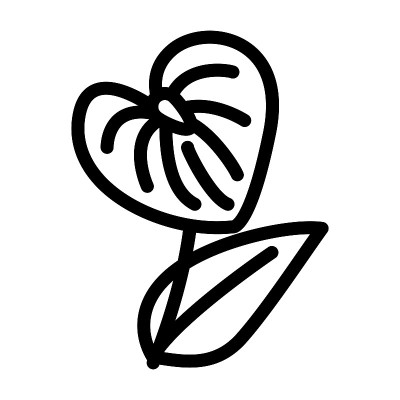 红掌花线图标矢量插图