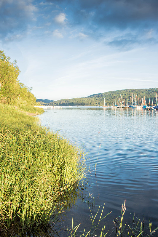 Schluchsee
