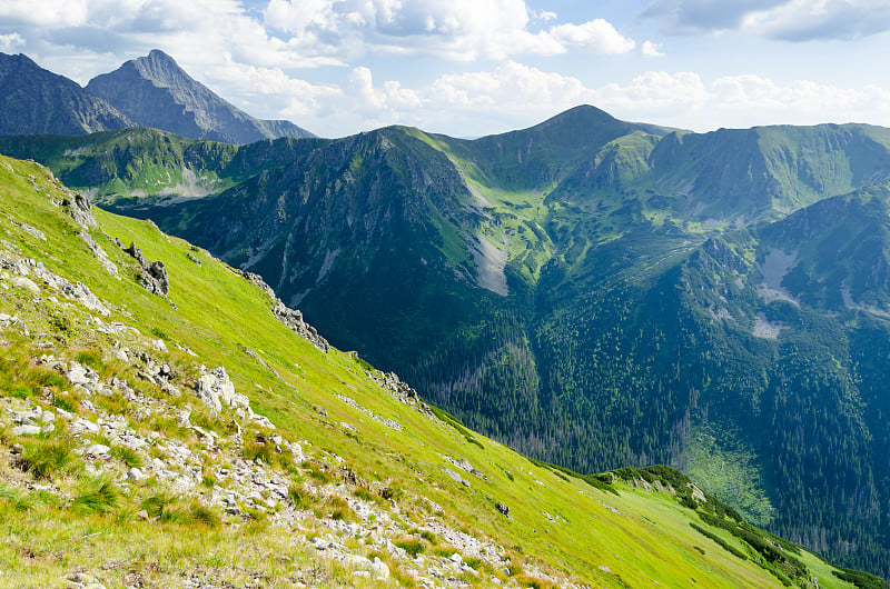 令人惊叹的塔特拉山脉和绿色草地，波兰