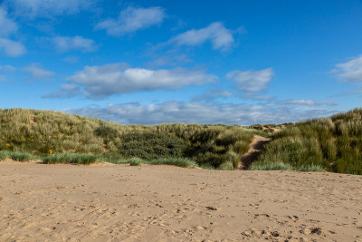 The Sandy Beach and Dunes, at Formby in Merseyside