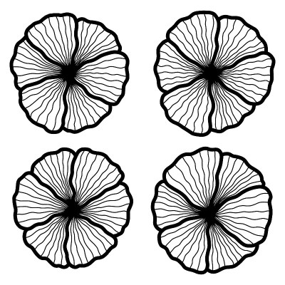 向量花组