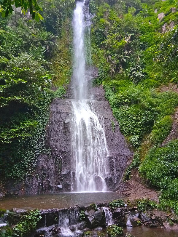 库鲁检察官在印尼野生动物园