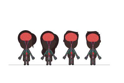 Human body anatomy vector illustration
