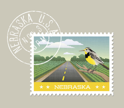 美丽的内布拉斯加州农田和Meadowlark