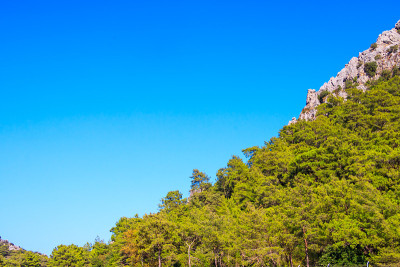 青山