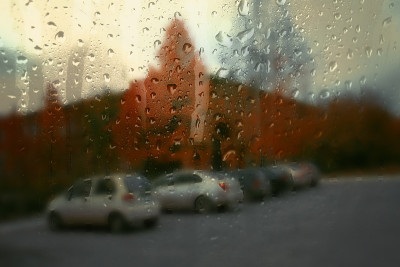 秋天的街道在一个雨天
