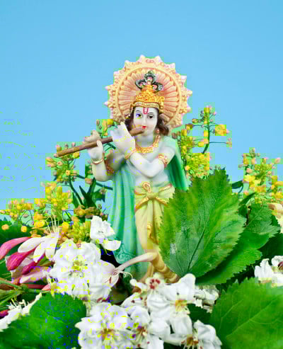 印度教克利须那神。