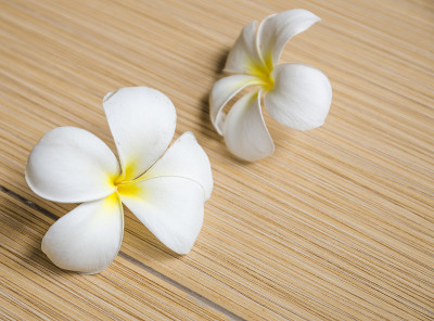 地砖上有白色鸡蛋花