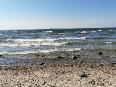 海滩