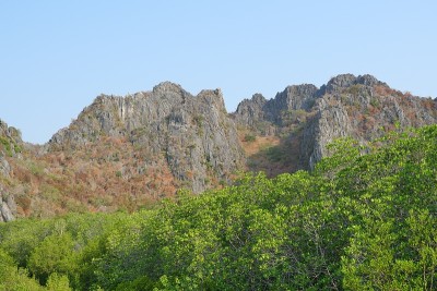 石灰岩山，红树林中有绿叶丛