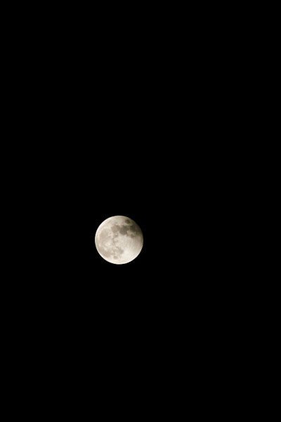 《黑夜中的月偏食》
