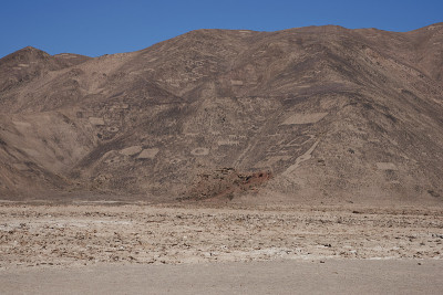 阿塔卡马沙漠Cerro Pintados的岩石雕刻