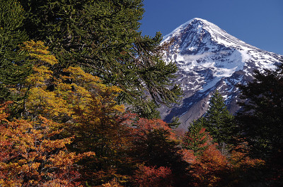 在Lanín火山的底部