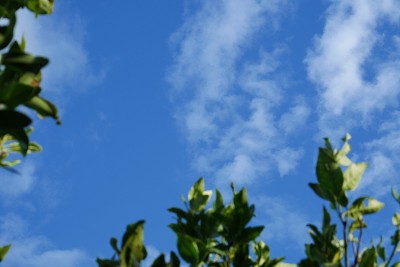 秋天的天空