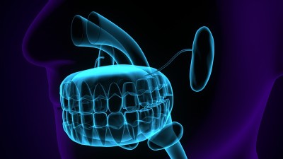 人体腺体解剖的3d插图。