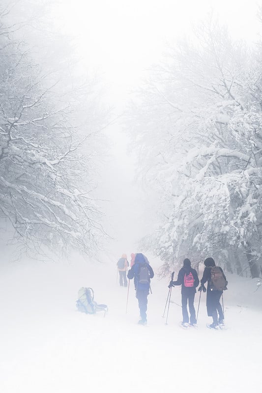 一群在有雾的日子里走在雪道上的徒步旅行者