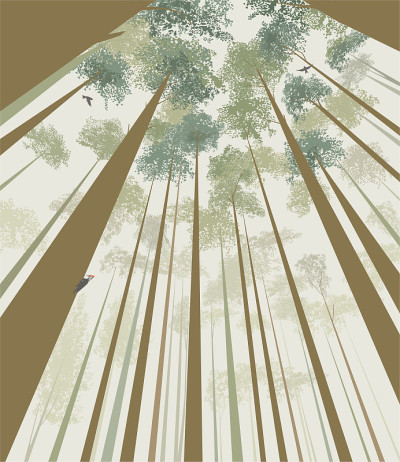 树刺破天空