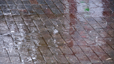 雨