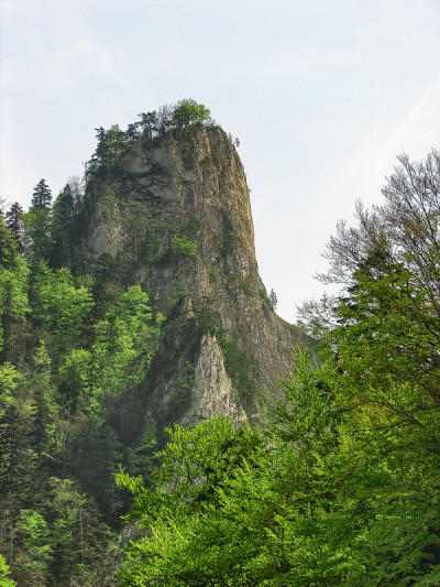 索格林卡山，皮尼尼，波兰