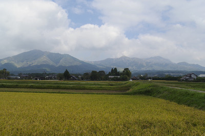 从火车窗口看到的风景