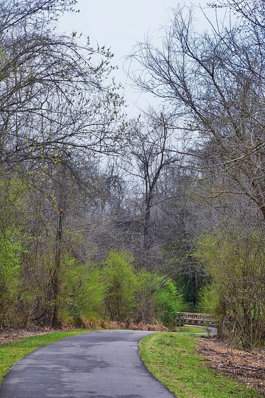 自然景观和沿着Shelby Bottoms绿道和坎伯兰河自然区域的路径，低地阔叶林，开阔的田野，湿地