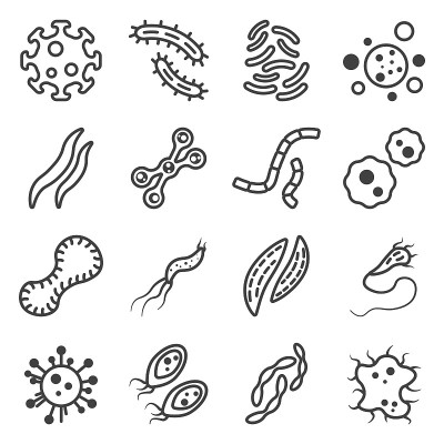 一组不同形状和用途的病毒和细菌图标——蠕虫、有或没有触角的无形状变形虫。孤立的矢量在白色的背景。