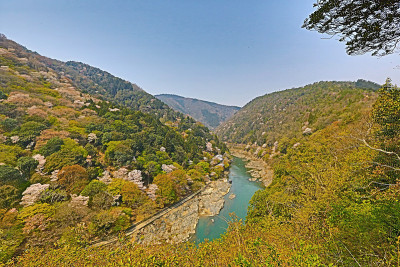 春天的岚山