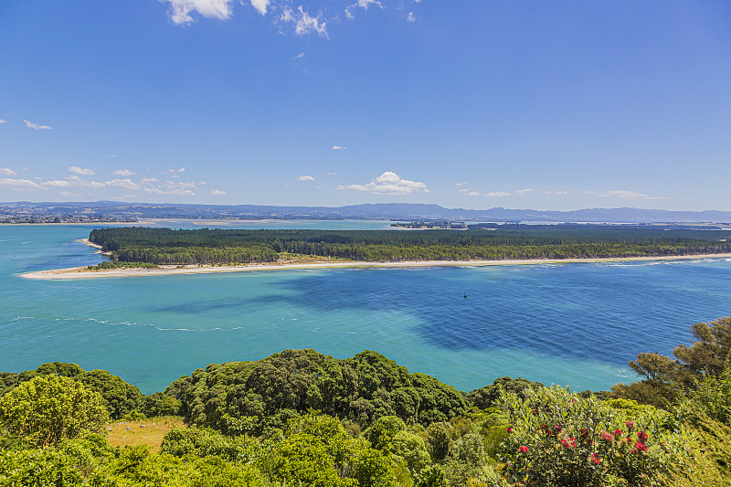 夏天从马加尼山到马塔卡纳岛在新西兰北部的岛屿