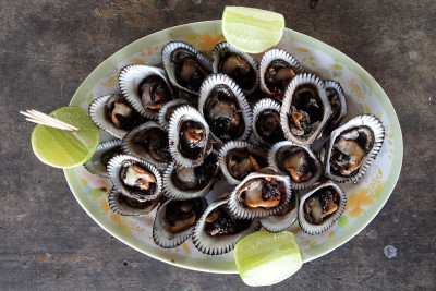Marisco