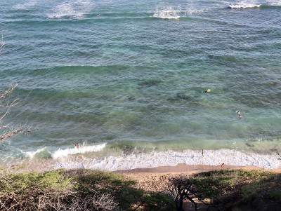 Hawaiin冲浪海滩