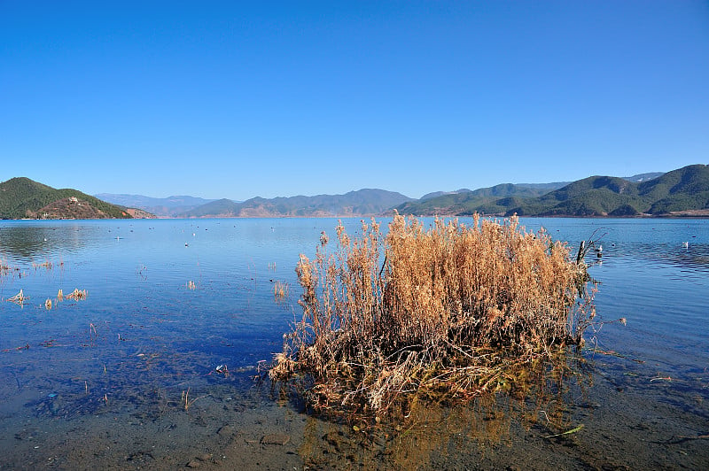 云南泸沽湖