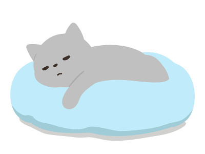 一只猫在宠物床上睡觉。