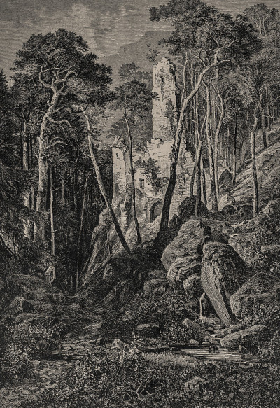 森林废墟- 1884年的插图