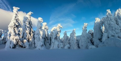 雪雕塑。