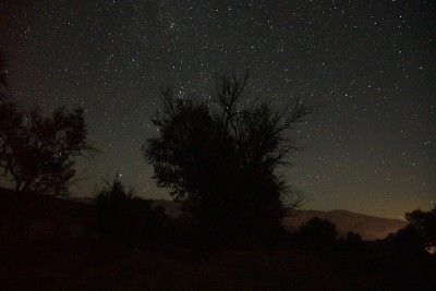 惠特尼山夜景苍松