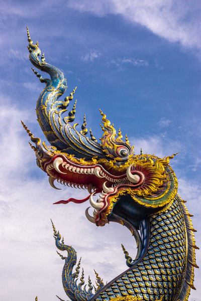 龙的头