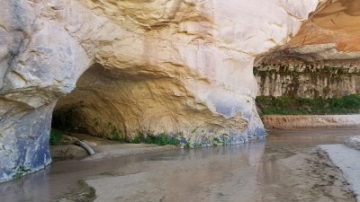 沙漠里的水