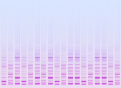 生物技术