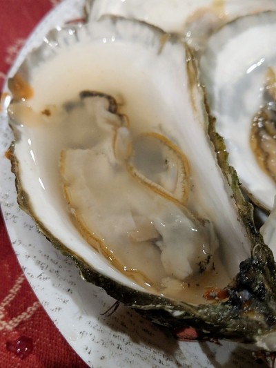 半壳鳕鱼角牡蛎