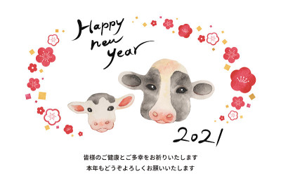 2021年的新年贺卡。牛父母和孩子，特写一张脸。水彩画。梅花。白色背景(带有笔触字符和新年信息)明信