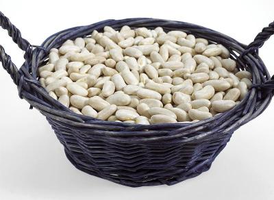 法国白芸豆或菜豆