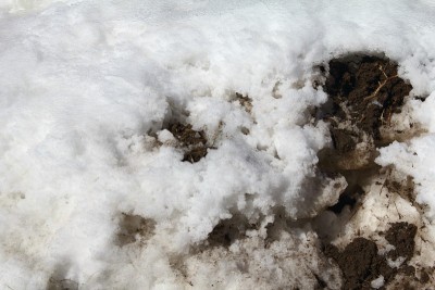 雪堤泥