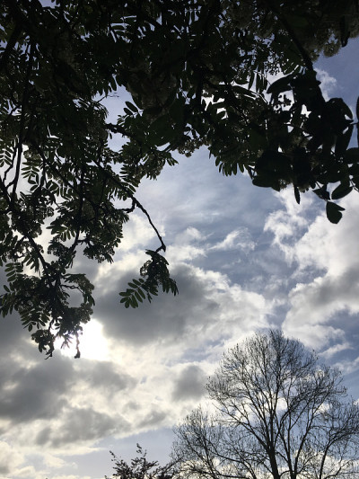 2018年5月，花落花落