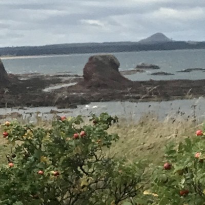 邓巴的Bass Rock