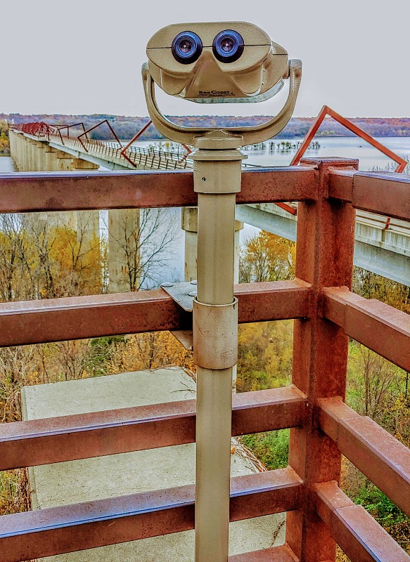 视图。