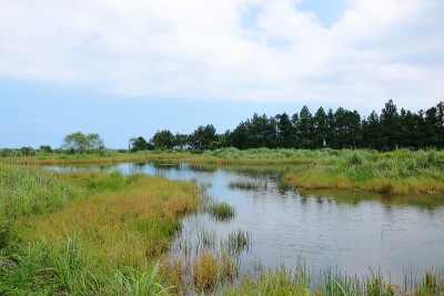 渔业、湖泊、水库、农村、