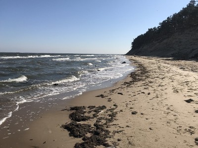 吕根Coastline