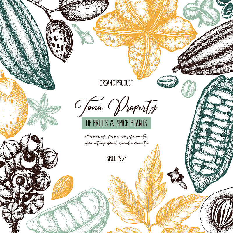 Exotic plants vector design